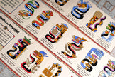 Board game Snake Clash game cards